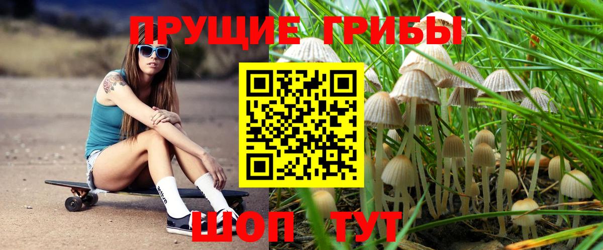Псилоцибиновые грибы мицелий  Вход с VPN  Красноармейск 